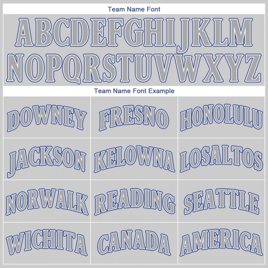 Custom Gray Gray Royal Authentic Baseball Jersey